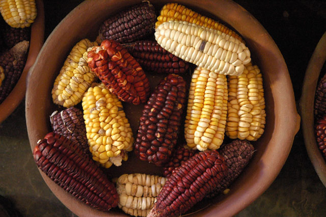 La riqueza alimenticia de la Quebrada de Humahuaca - Fondo de Olla